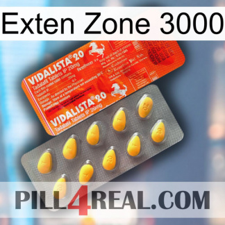Exten Zone 3000 new01